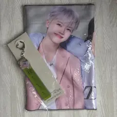 2025年最新】NCT dream プレミアムシートの人気アイテム - メルカリ