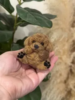 まんまるあにまるず　プードル　レッド　うちの子　マスコット　羊毛フェルト