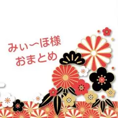みぃ〜ほ様✨おまとめ