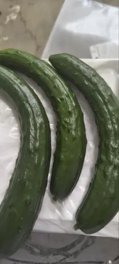 きゅうり規格外