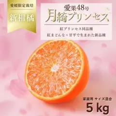 2026年最新】愛果28号 10kgの人気アイテム - メルカリ