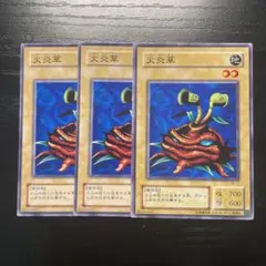 遊戯王カード 初期 火炎草 かえんそう - メルカリ