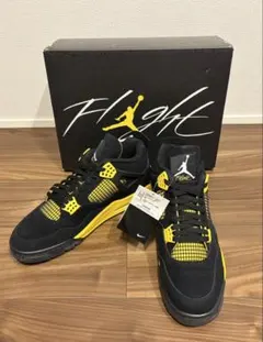 NIKE AIR JORDAN 4 RETRO THUNDER/30cmのサムネイル