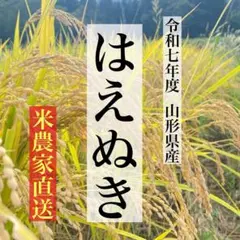 【米農家直送】山形県産 はえぬき 5kg【送料無料】白米or玄米選べます！のサムネイル
