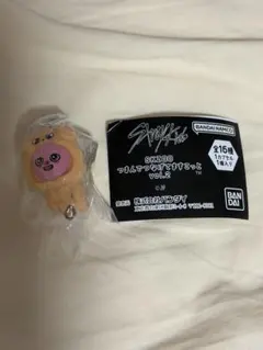 StrayKids SKZOO つまんでつなげてますこっと vol.2チャンビン