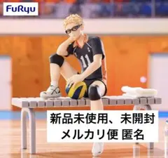 ハイキュー 月島蛍 ぬーどるストッパー フィギュア 烏野 排球