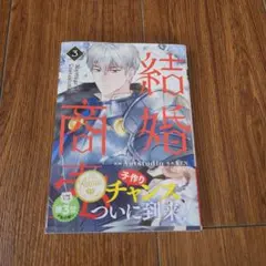 結婚商売 = Marriage of Convenience. 3