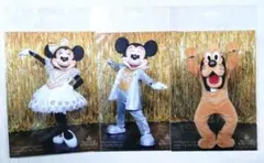 ディズニー イマジニングザマジック ミッキー　ミニー プルート ブロマイド