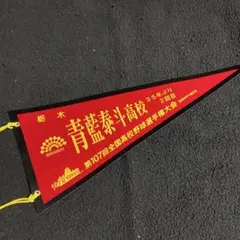 【ラスト1枚】青藍泰斗高校 ストライプ 応援ユニフォーム　Ｓサイズ(➕メガホン) 青藍泰斗高校 応援ユニフォーム Sサイズ ブルーストライプ 栃木