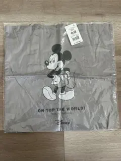 ディズニーストア キャラクターグッズ