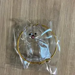 わんこのタイムカプセル