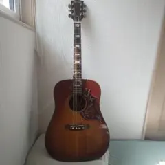希少 林楽器 Pearl gibson ハミングバードモデル - メルカリ
