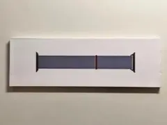 【新品・箱なし】純正 アップルウォッチ41mmスポーツループ・ウィンターブルー③