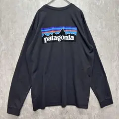 Patagonia パタゴニア ロンT P-6ロゴ ロングスリーブTシャツ 長袖