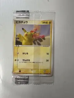 未開封』ポケパークのピカチュウ ピカチュウの森（2005年） - メルカリ