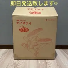 ナイスデイ エクササイズステッパー 赤