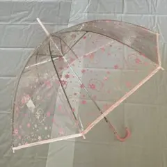 Item thumbnail for item 463deca9-2098-470f-961b-07390fb564b7