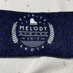 Pulsatilla cernua 清水翔太 直筆サイン入りタオル 清水翔太タオル - メルカリ