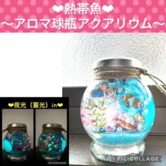 【熱帯魚】〜❄︎アロマ球瓶❄︎〜❤︎蓄光アクアリウム❤︎Blue砂in
