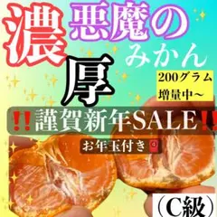 悪魔のみかん　C級　1キロ