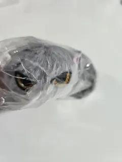 なつかない猫 ぬいぐるみ 魚屋さんの猫