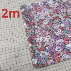 Item thumbnail for item ea17bde4-d23d-4df0-a2c3-cb7021161386