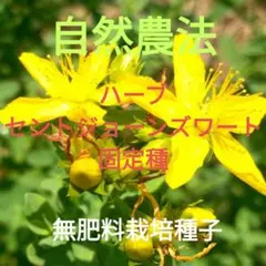 ラッタッタ様 リクエスト 3点 まとめ商品