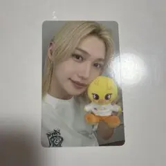 straykids スキズ ズートピア フィリックス トレカ