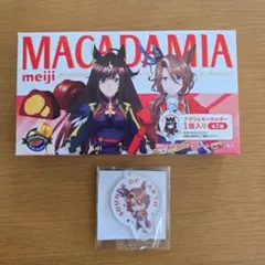 ①サウンズオブアースアクキー