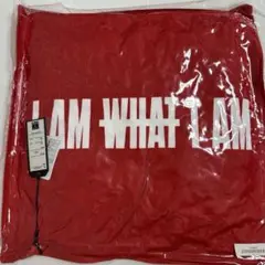 AAA與真司郎iamwhatiamクッション新品未使用タグ付き超レア