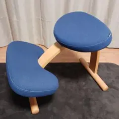 Balans Easy バランスチェア サカモトハウス ネイビー