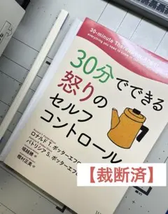 【裁断済】30分でできる怒りのセルフコントロール
