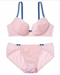 ブラショーツセット