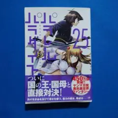 パラレルパラダイス　25