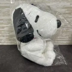 신품・ 미개봉 PEANUTS 스누피 특수 효과 봉제 인형 2026년