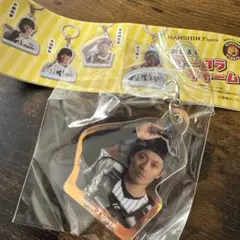 阪神タイガース めじるしオーロラチャーム 坂本誠志郎捕手