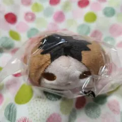 2025年最新】孤爪研磨 のるキャラの人気アイテム - メルカリ