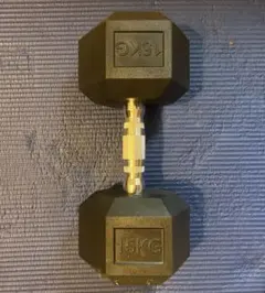TPU/高純度鋼ゴム素材 ダンベル15kg/1個② - メルカリ