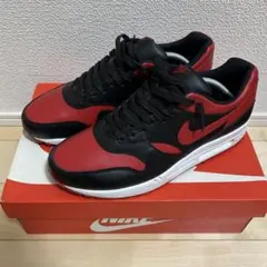 【激レア】Nike Air Max 1 Premium QS Bred 28cm