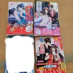 ○まとめ売り　ノベライズ本4冊