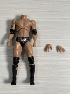 S.H.Figuarts the Rock 素体 フィギュアーツ