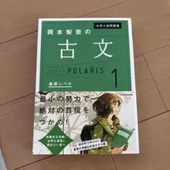 美品　大学入試問題集 岡本梨奈の古文ポラリス 1 基礎レベル　参考書　大学受験