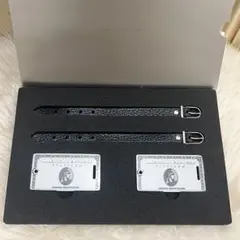 非売品 │ 2つセット AMERICAN EXPRESS ネームタグ 2026年最新】アメックス ネームタグの人気アイテム - メルカリ