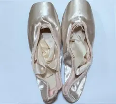 Swan トゥシューズ 23 D M チャコット