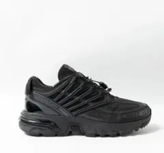 【人気】SALOMON　サロモン　ACS　PRO　GTX 25cm