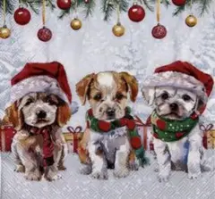 ꕤ︎︎·͜· ︎︎ Xmas新作44 ・4枚セットペーパーナプキン