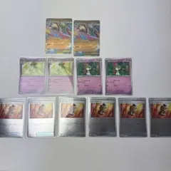 【ポケモンカード】スペシャルカードセットメガエルレイドex プロモ　まとめ売り