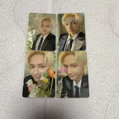 fml carat盤 ジュン トレカコンプ