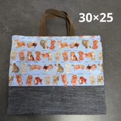 Ｅ818小さめお道具袋、ミニトートバック裏地付き　リバーシブルハンドメイド