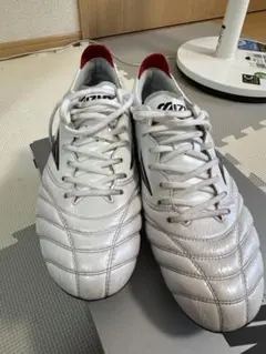 MIZUNO モレリアネオ4ジャパン